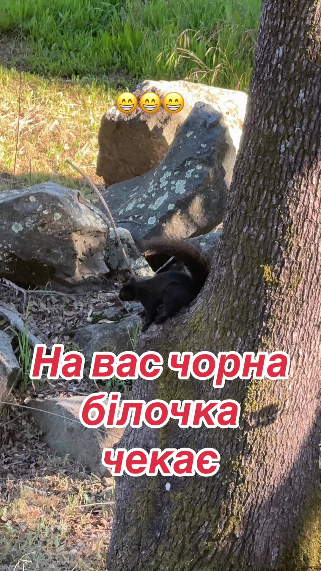 @Taras Loza
