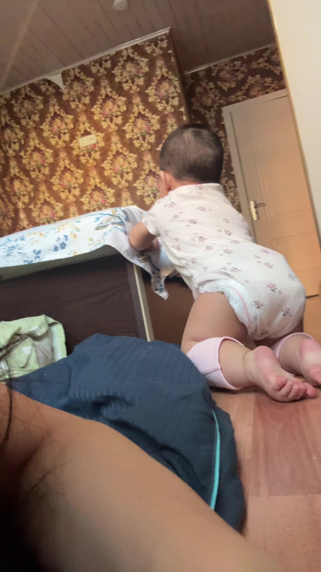 @aydanmemmedova