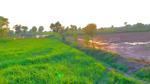 @bahwalnagarofficial