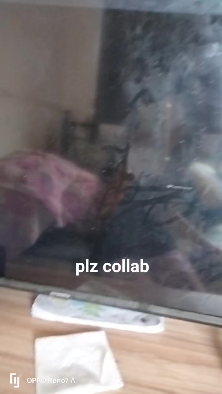 @MELVINS #1 HATER(BOBBY BEARHUG