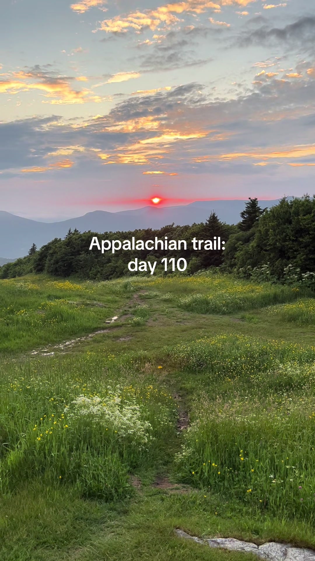 @trail bob