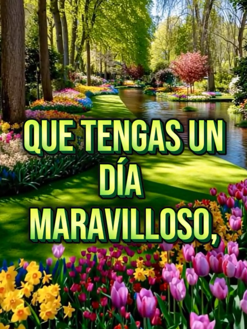 @Arely Mendoza Frases bonitas