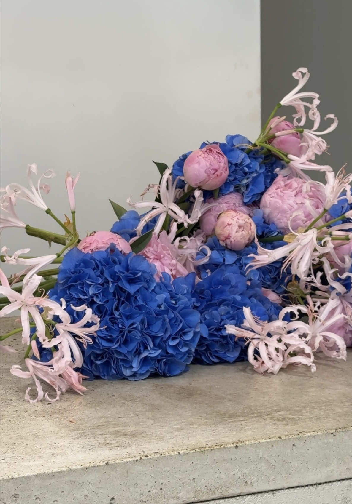 @iubidubi flowers