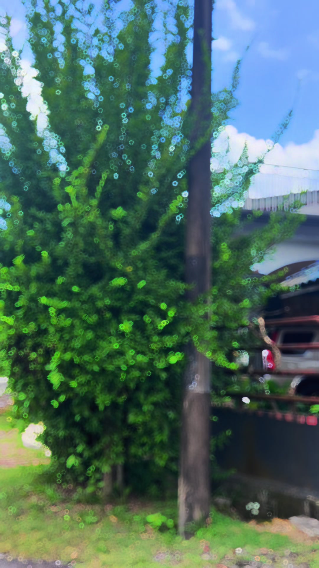 @Flowersbyibuf