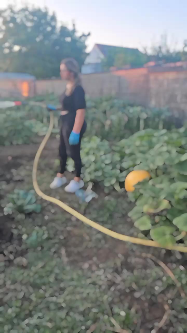 @🌾سنبولة 🌾