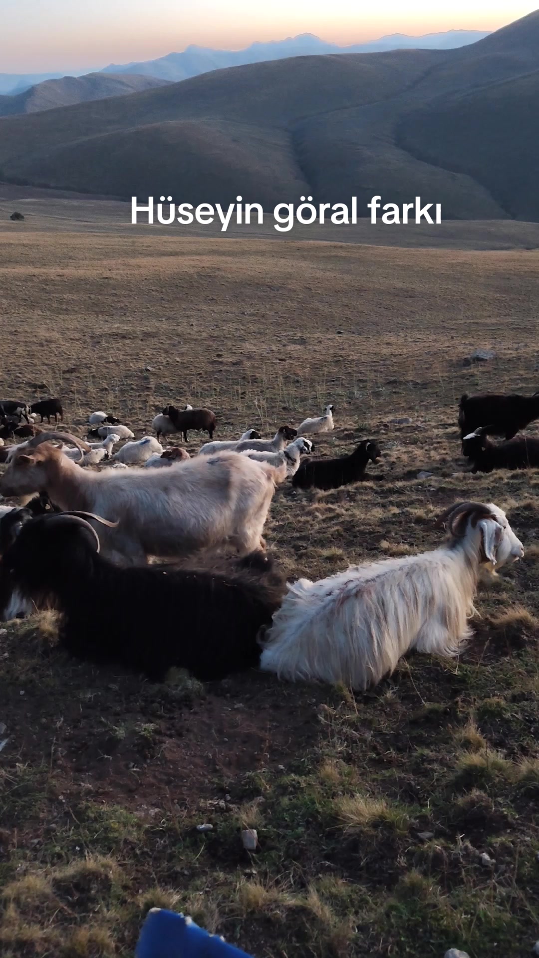 @Emrah Karapınar