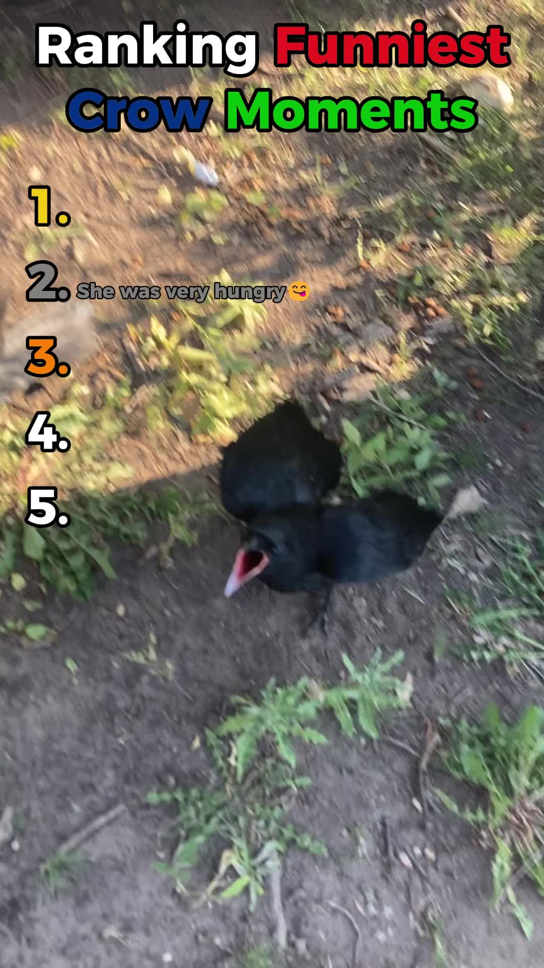 @Top 5 Ranking Videos