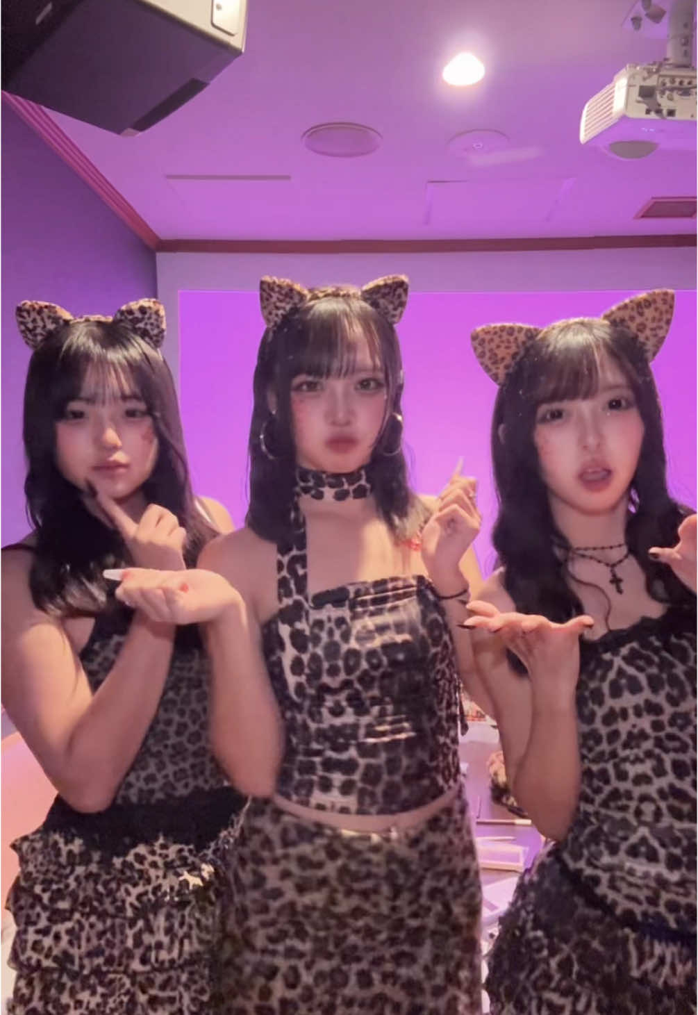 @葵