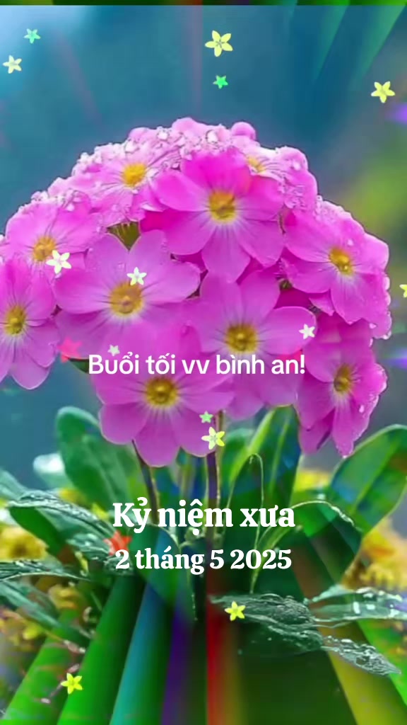 @nguyễn dung