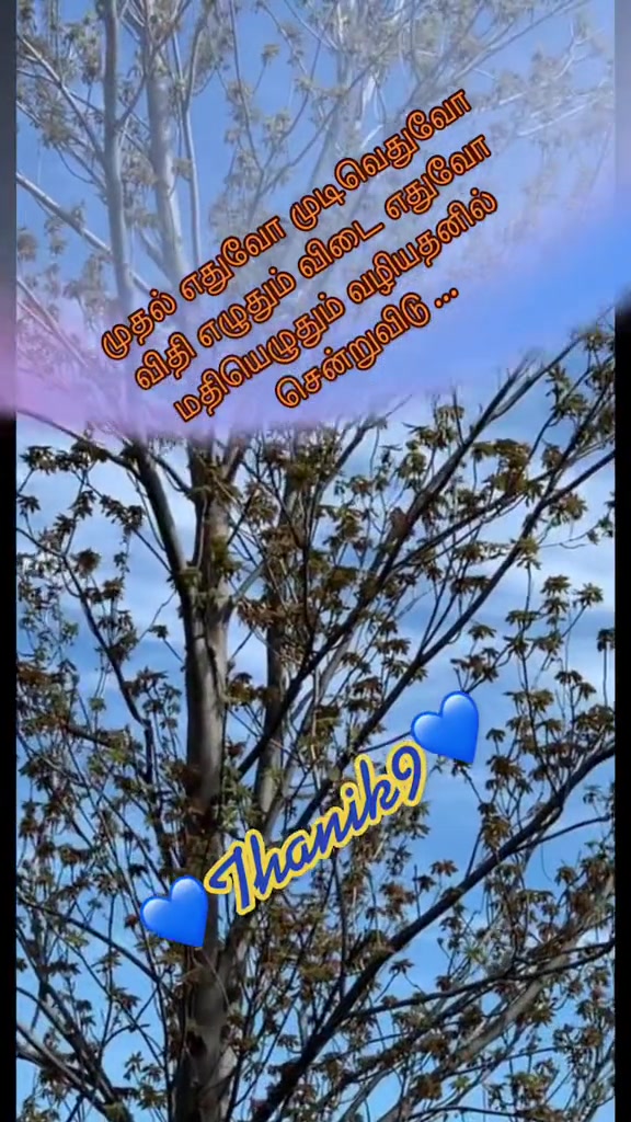 @Thanik