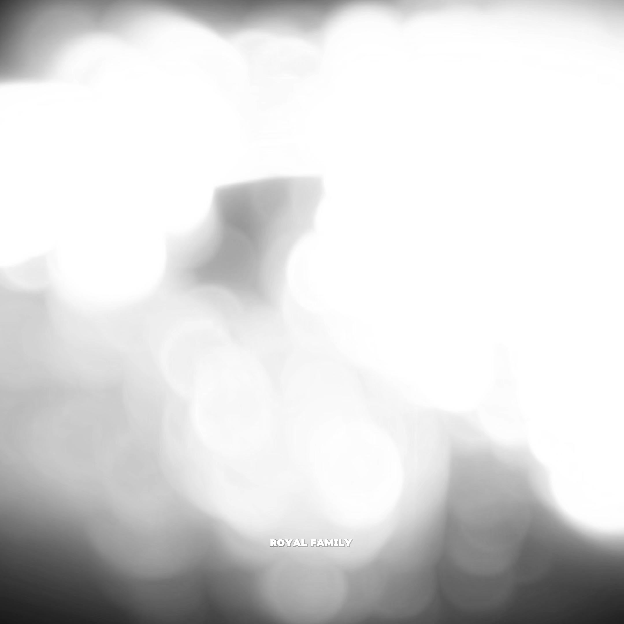 @𝐑𝐨𝐲𝐚𝐥 𝐟𝐚𝐦𝐢𝐥𝐲