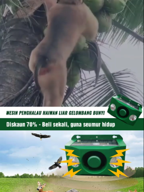 @Pengedar sah MIKITA