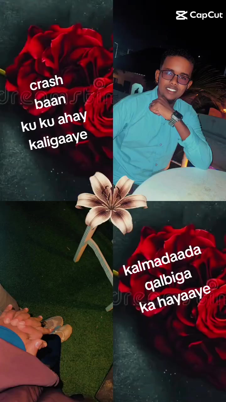 @Dr daacad_4115