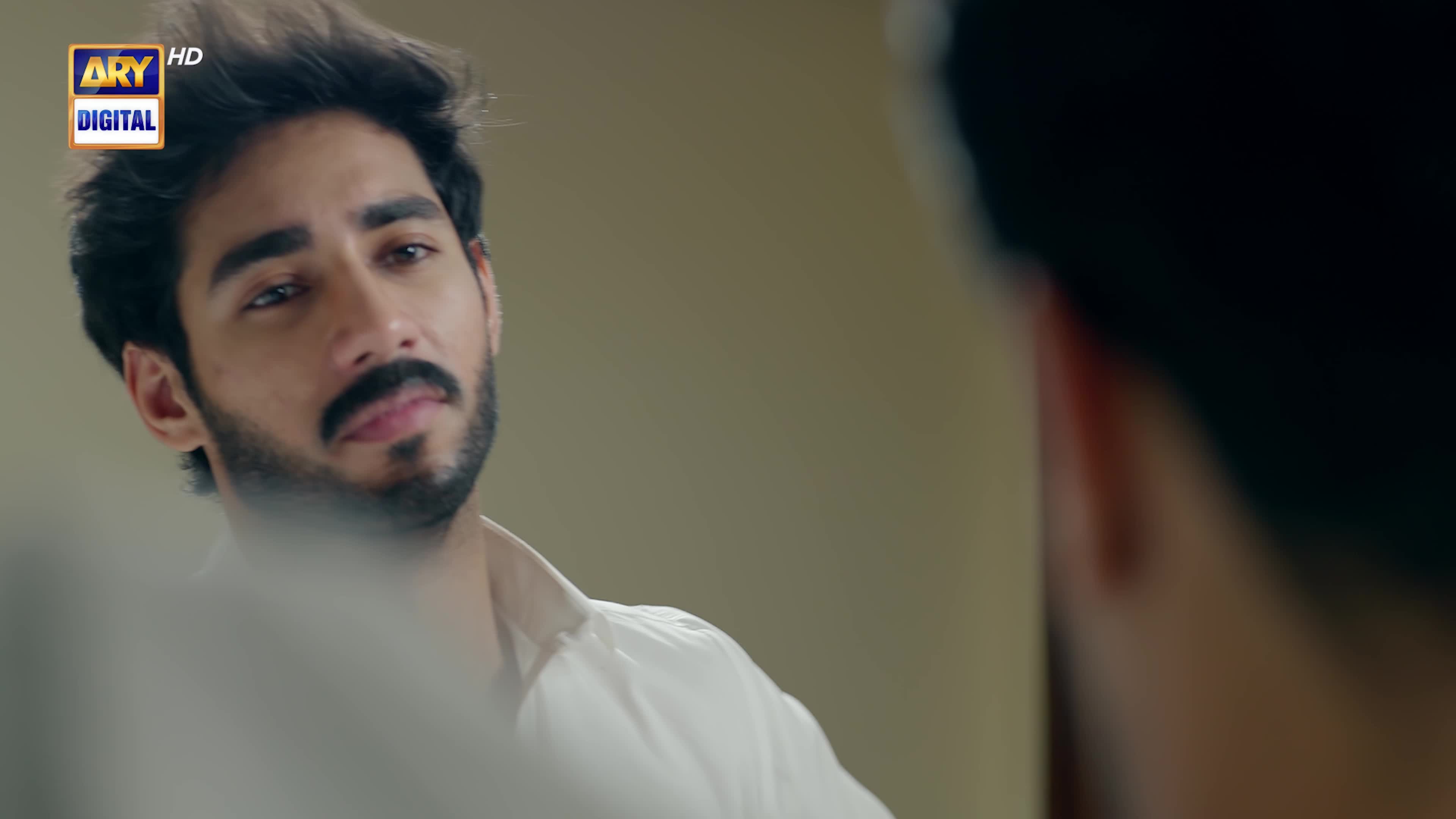 @ARY DIGITAL