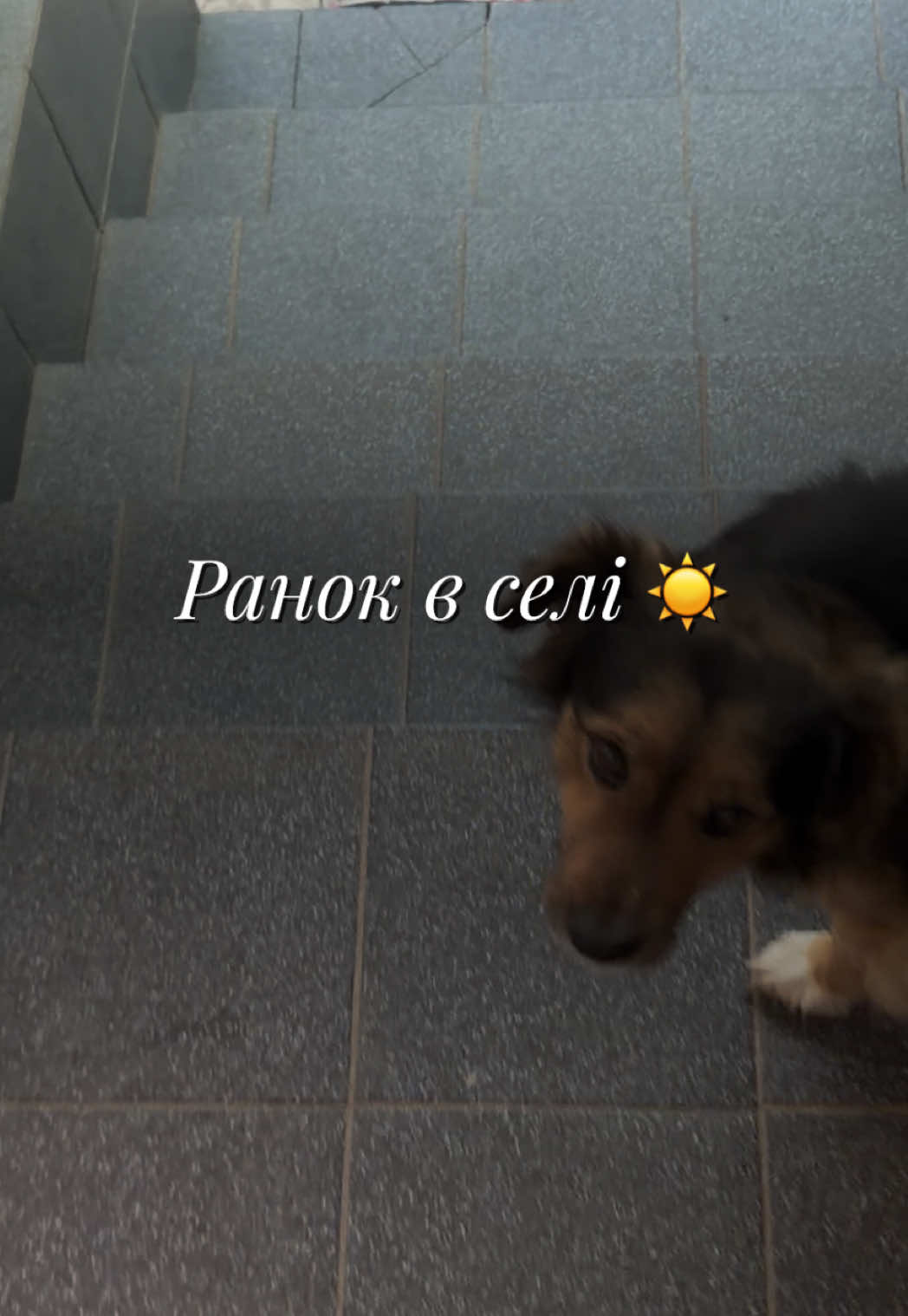 @Саша в квадраті 🧑&zwj;🧒 UGC