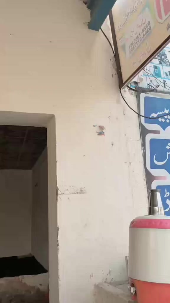 @juoan Ali 8013