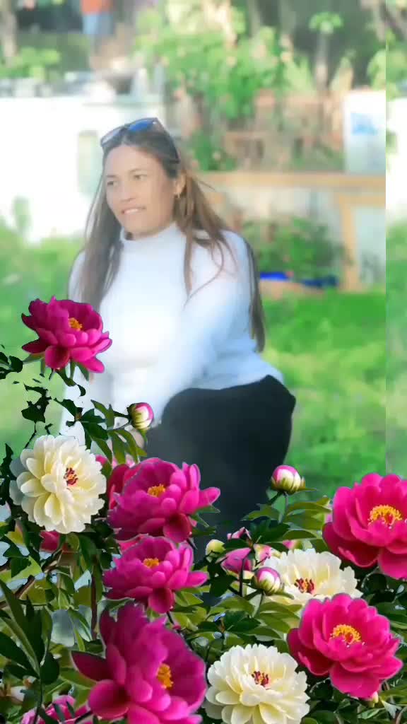 @आसिका <💙>