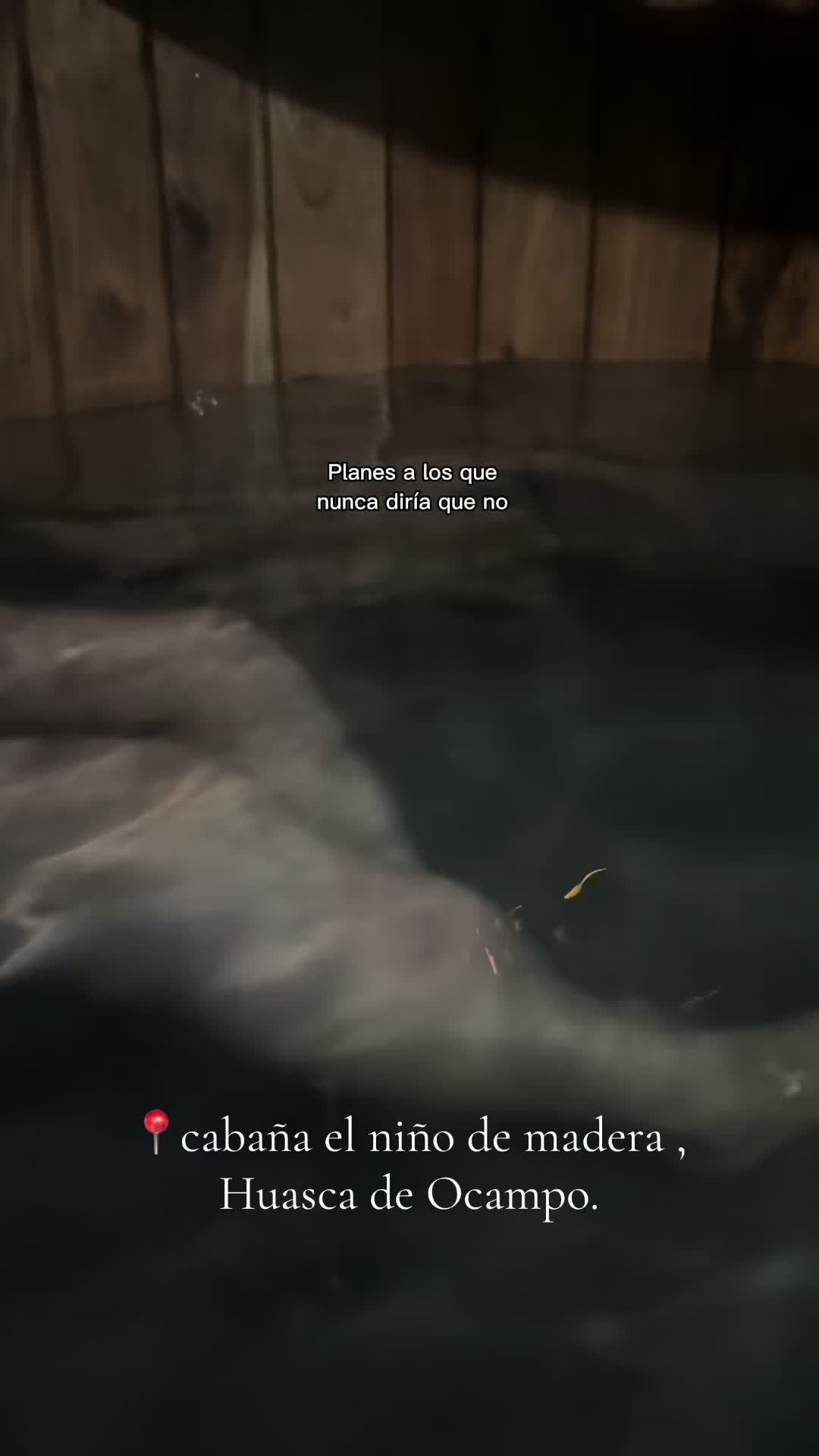 @Bosque Erase Una Vez