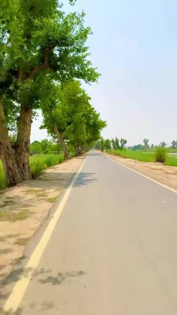 @Irtaza 267