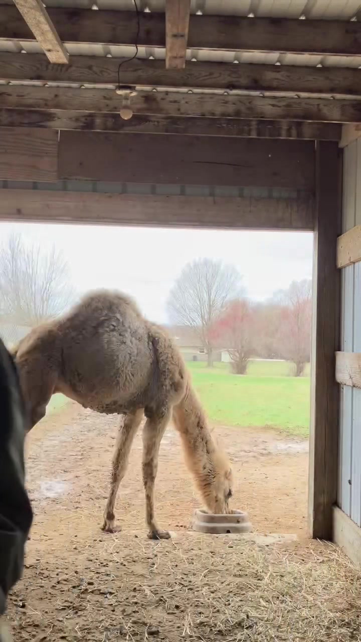 @GreenMeadowsFarmWi