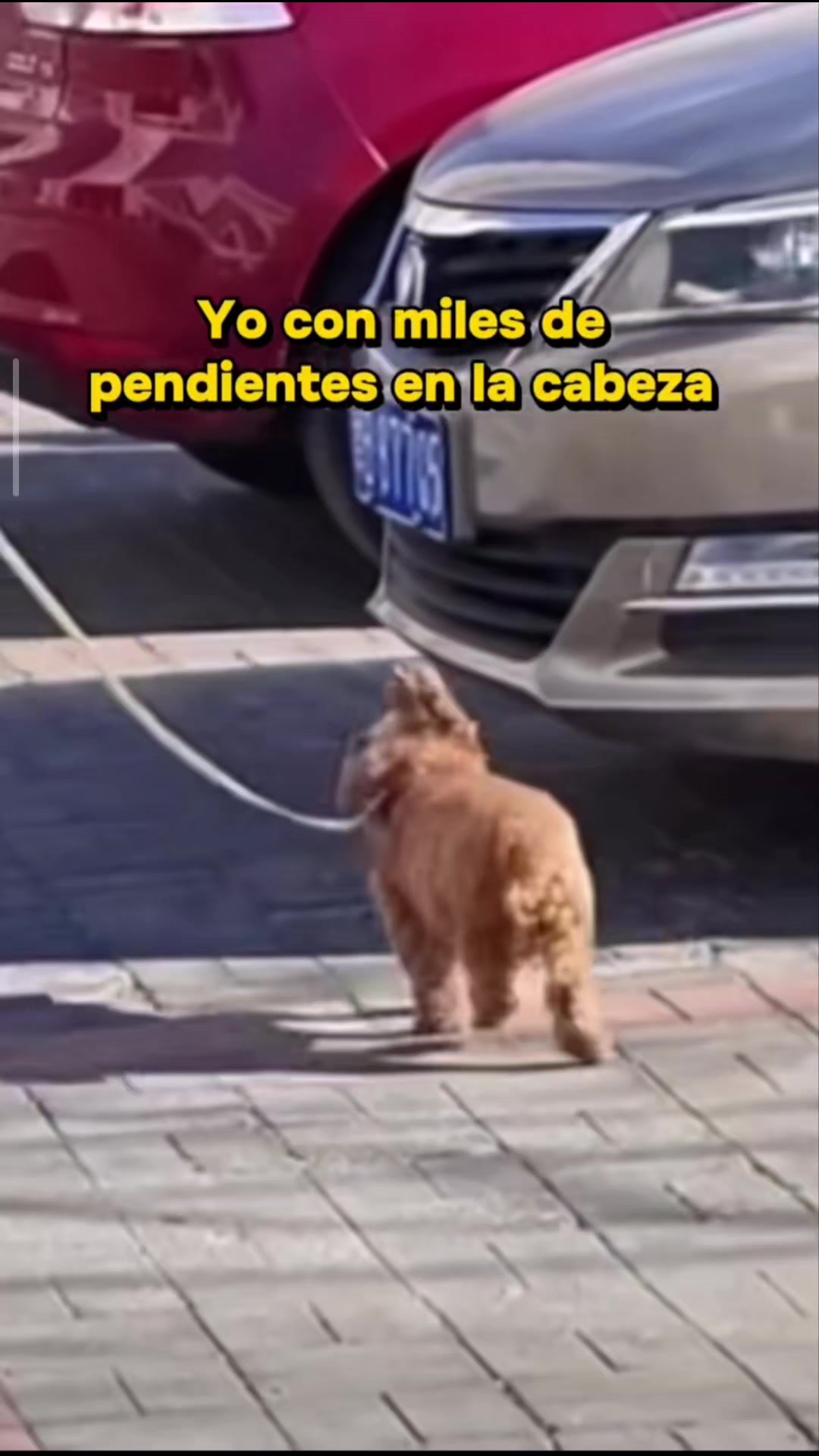 @Jesus hernandez