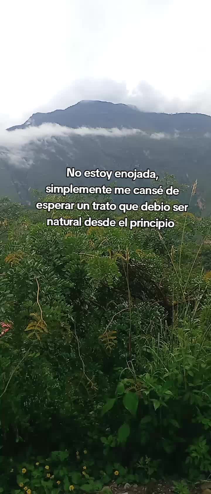 @Julays | Generando emociones
