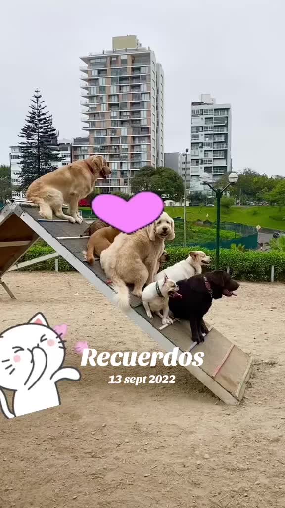 @Lu salm&oacute;n