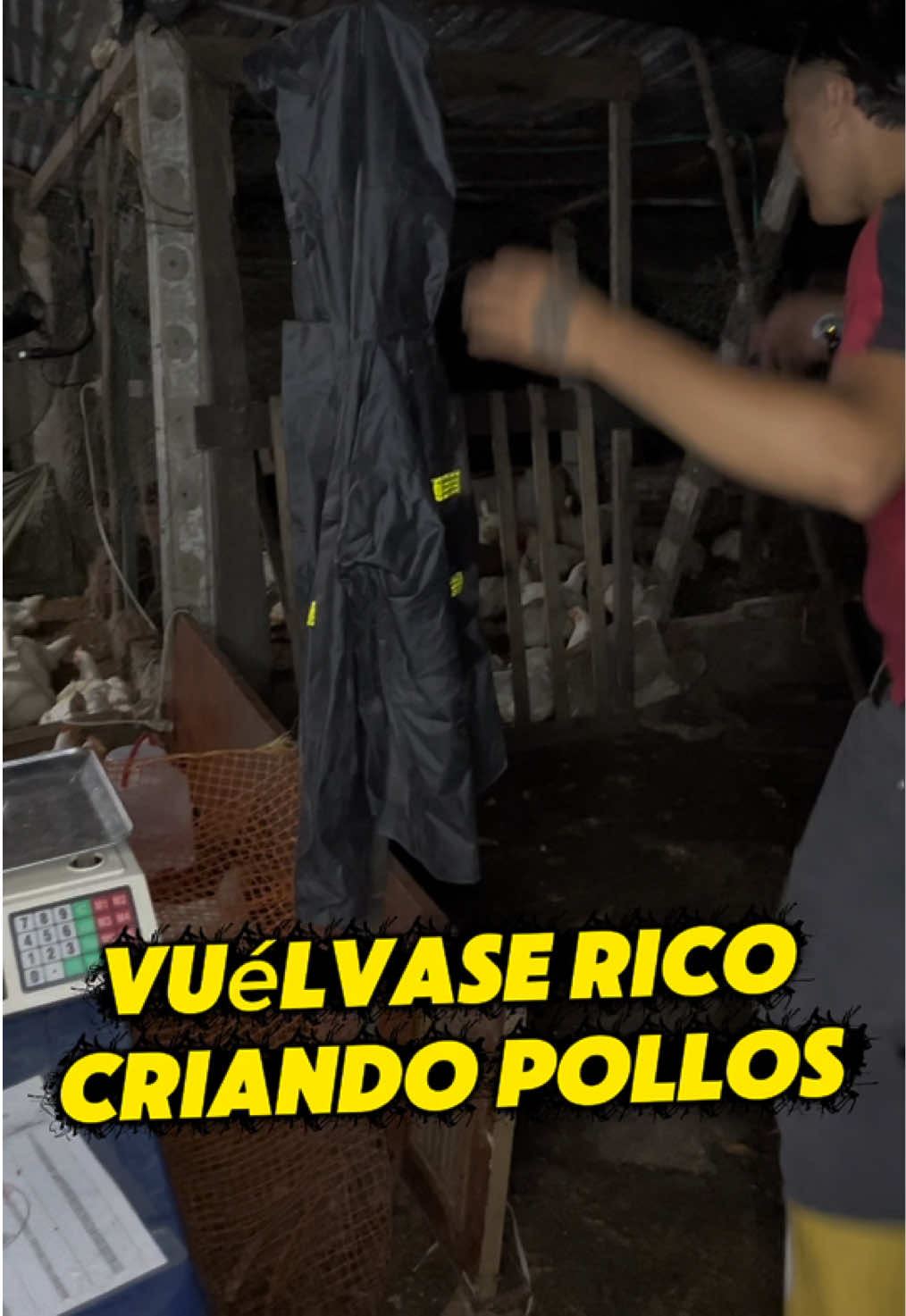 @elmagnatedelospollos