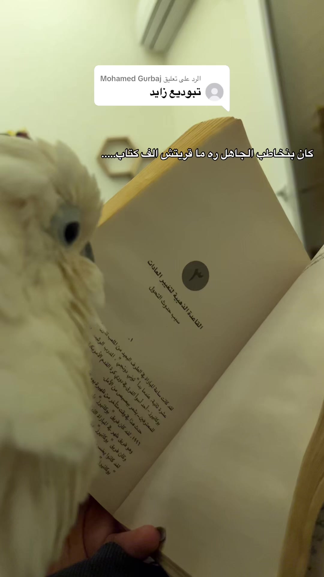 @د.وئام