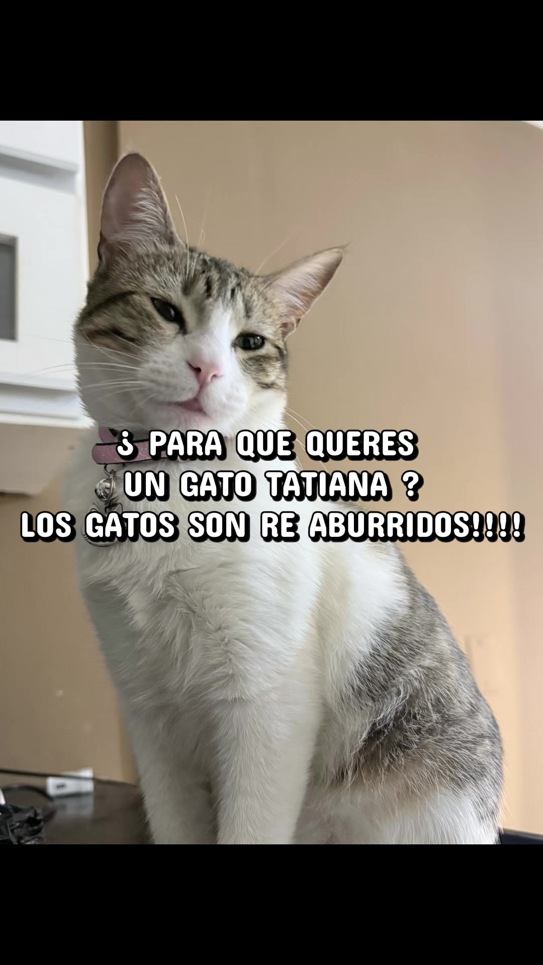 @TATI🔮