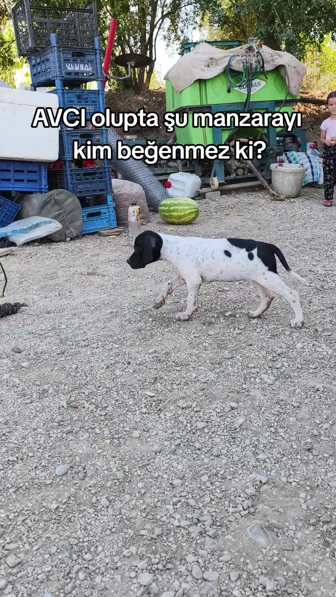 @LEVENT &Ccedil;AKIROĞLU