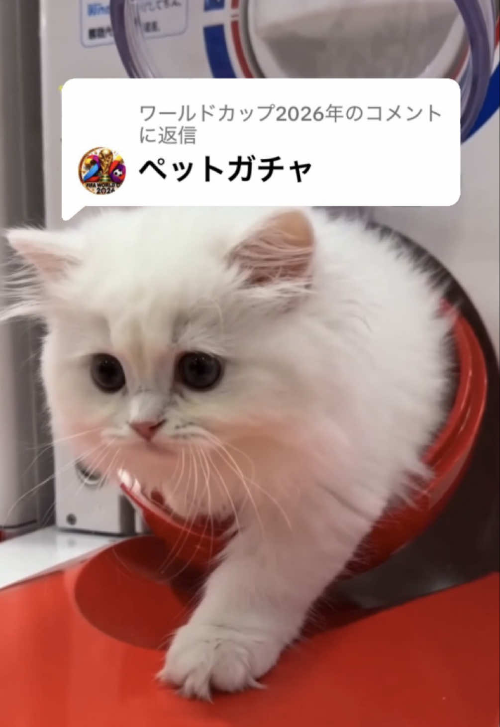 @るなさま