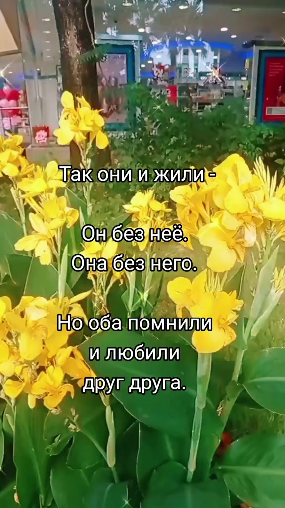 @Марина 🌹🍃