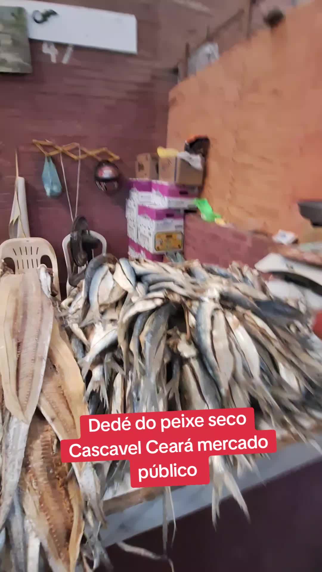 @Adailo Pinheiro