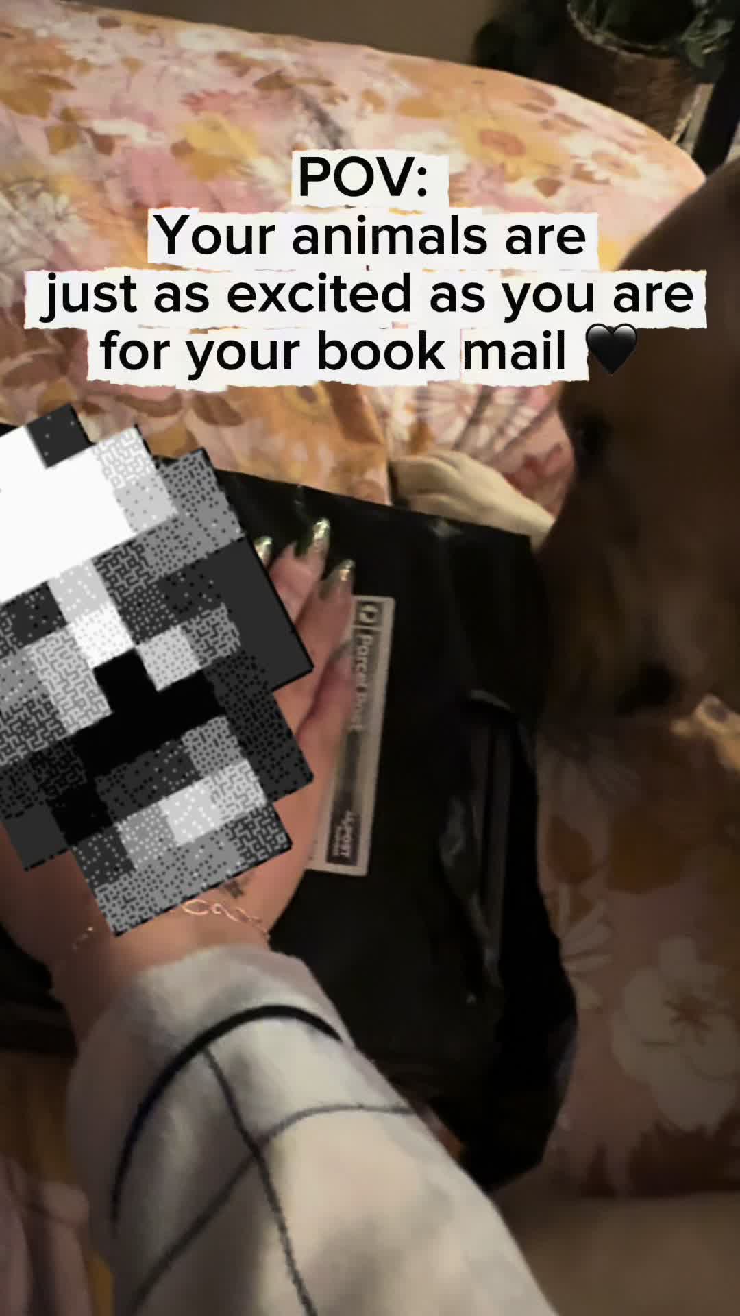 @Lost In Fiction