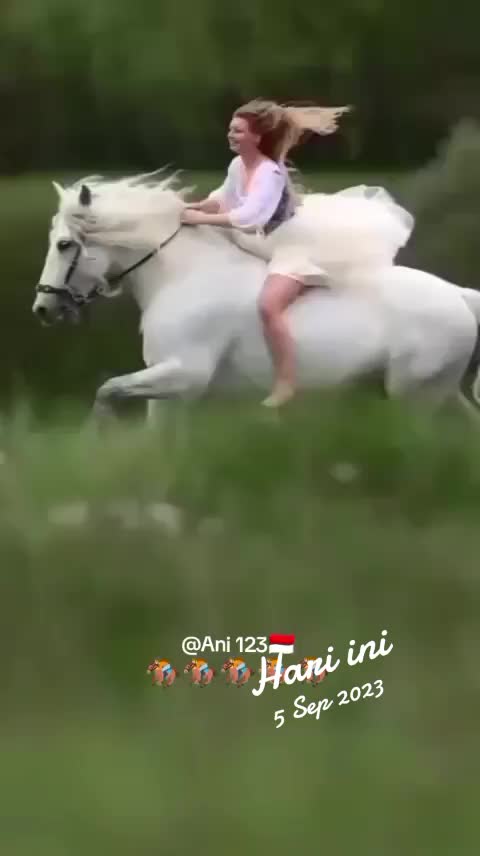 @@Ani 123🇮🇩
