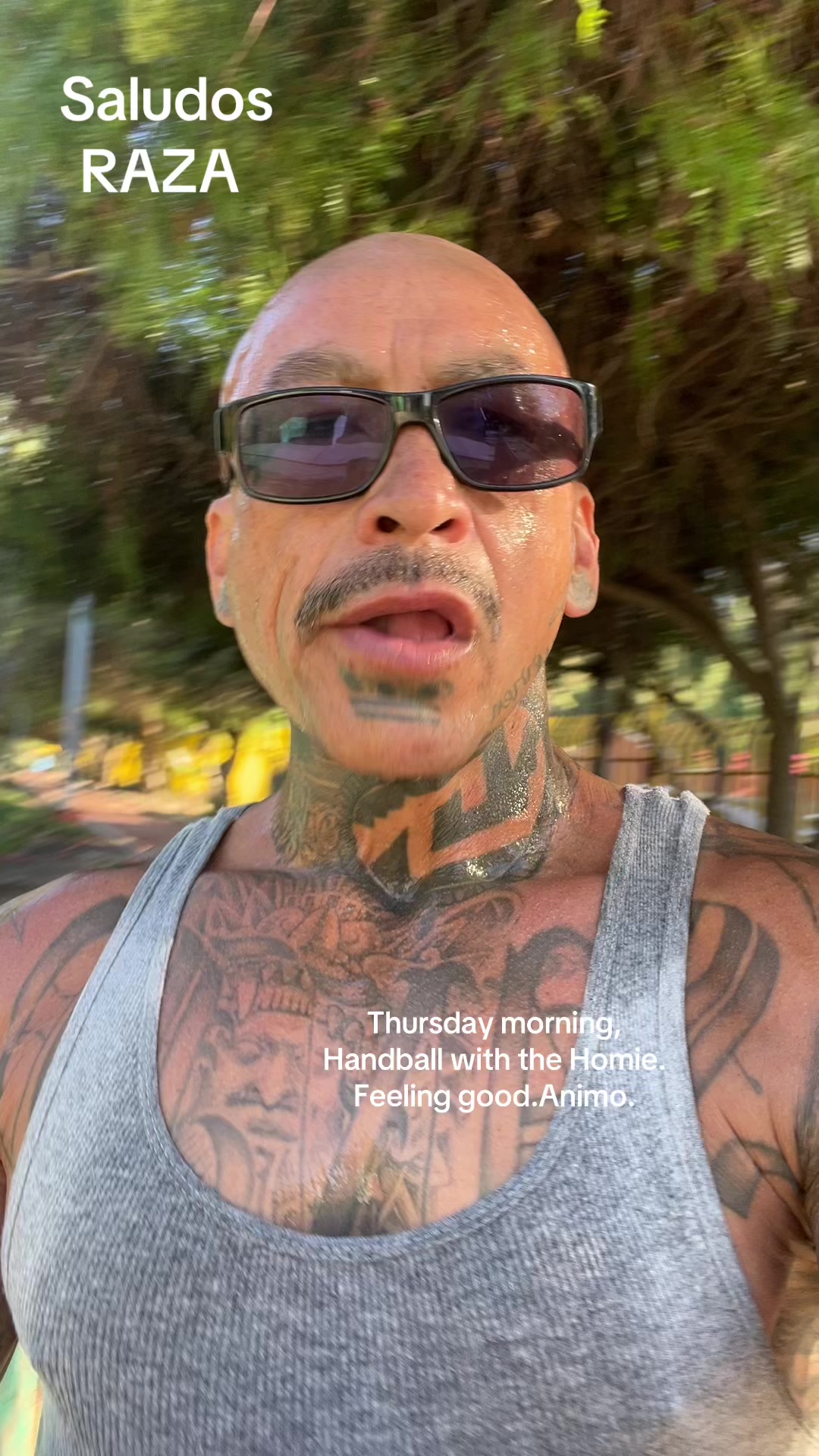 @chinoblue😎