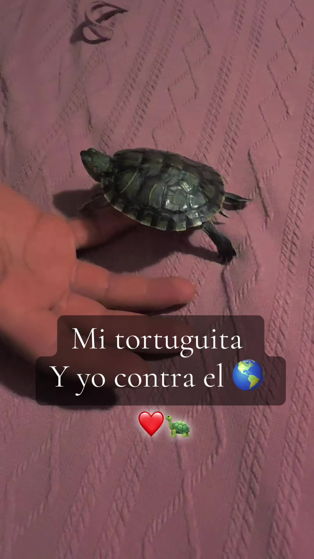 @Zonia🦥⚡️