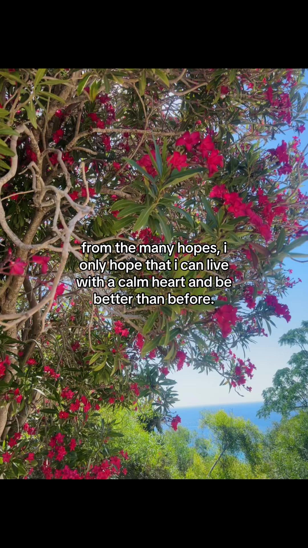 @introvert_🫥