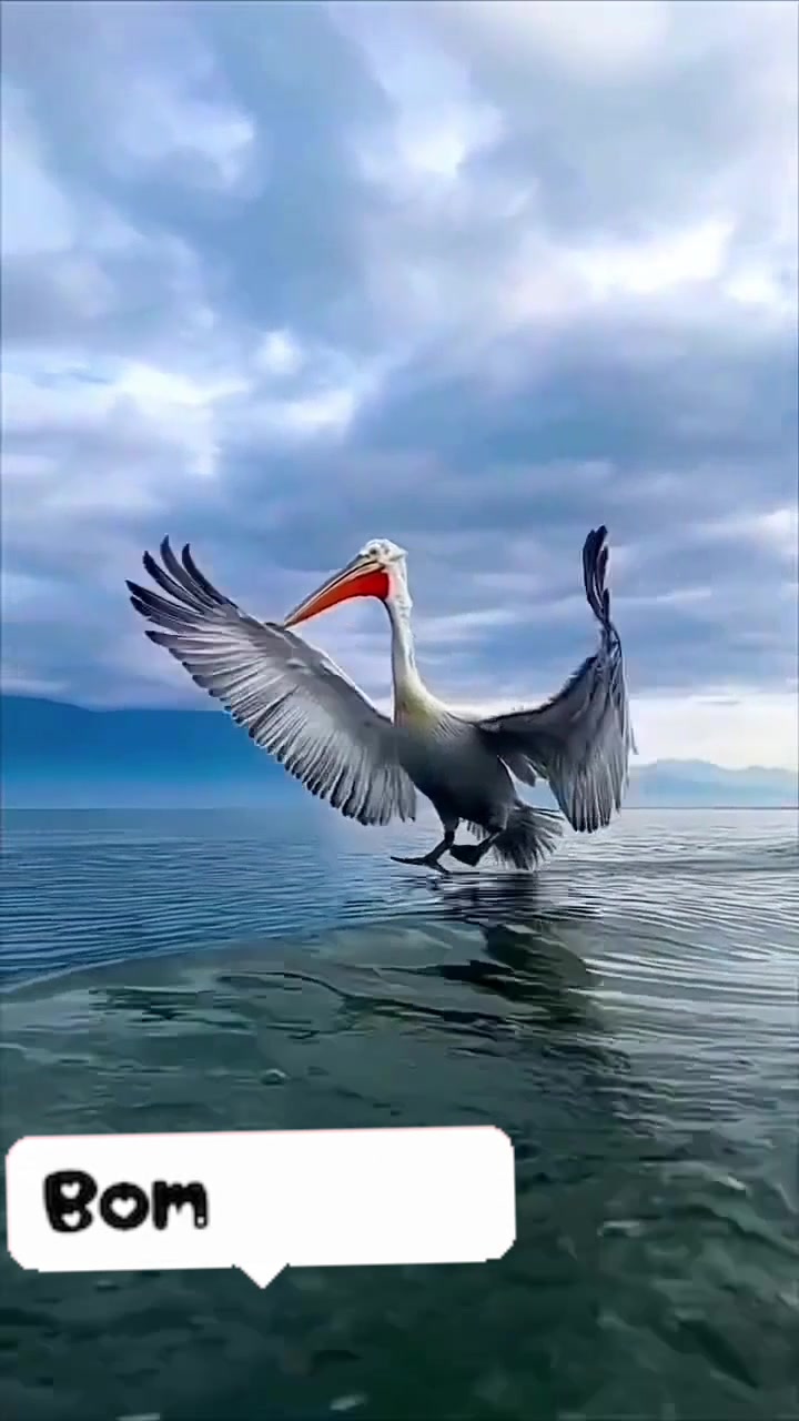 @Luzenir Silva 315