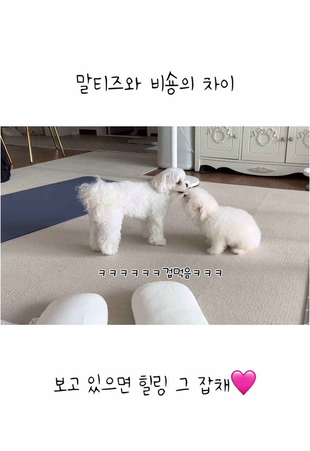 @메리하리