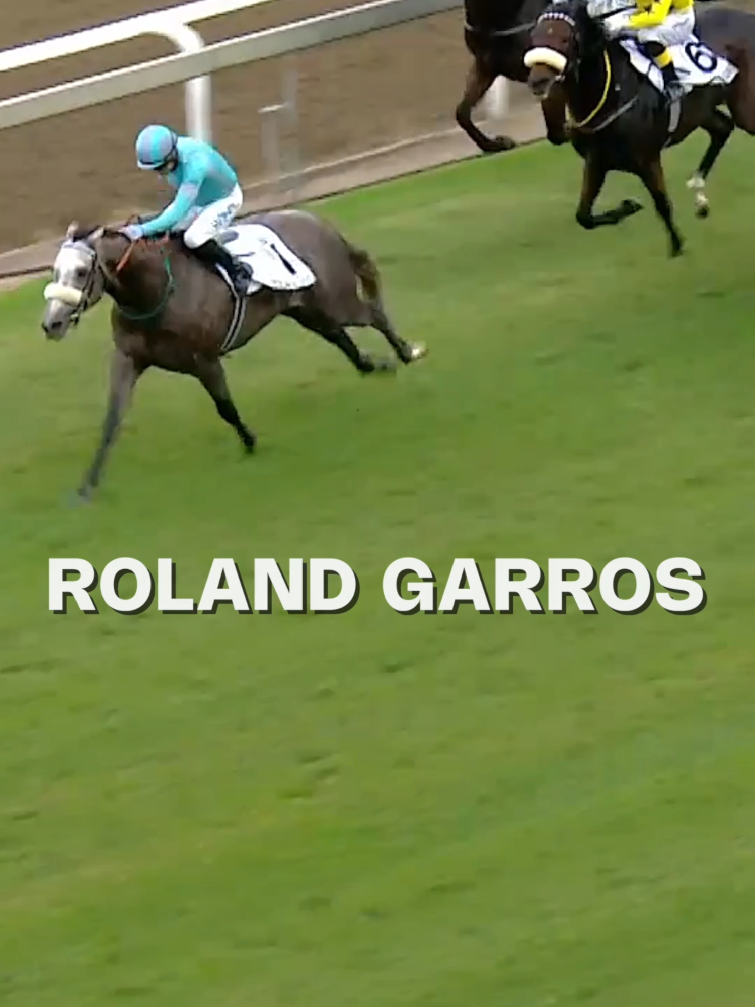@Gallop TV