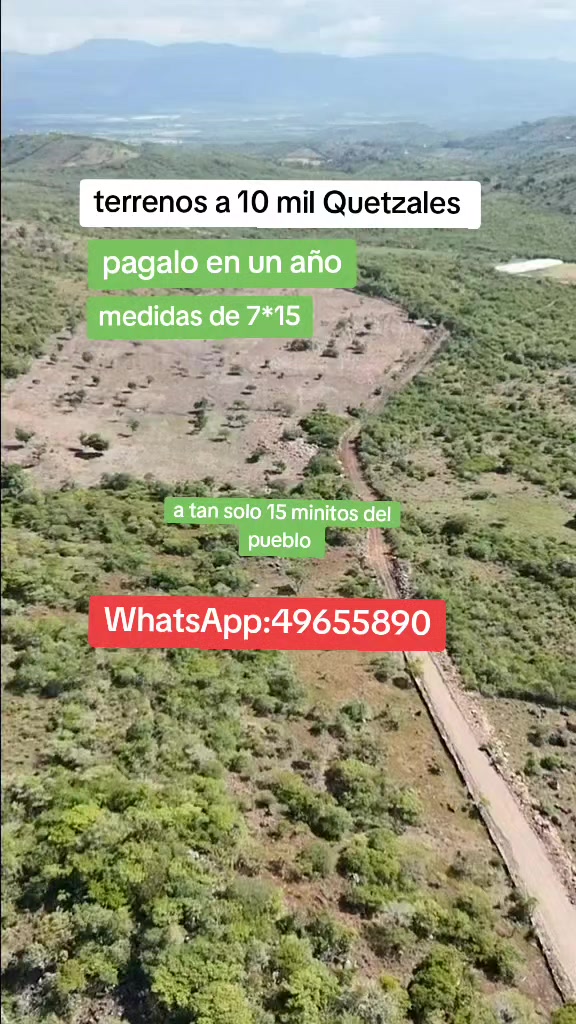 @Mario López asesor