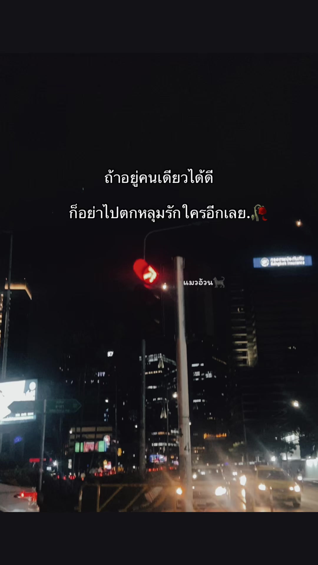 @แมวอ้วน🐈⬛