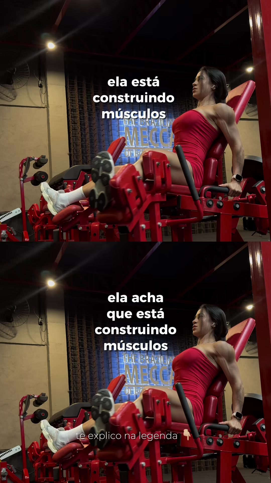 @Angélica Oliveira