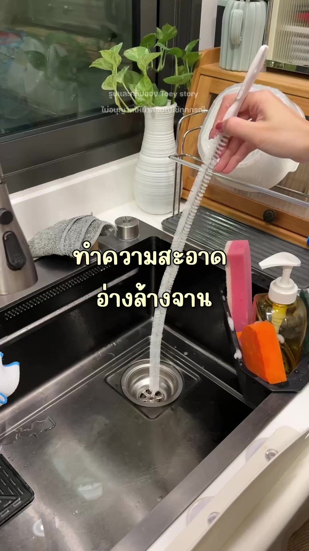 @Toey Story