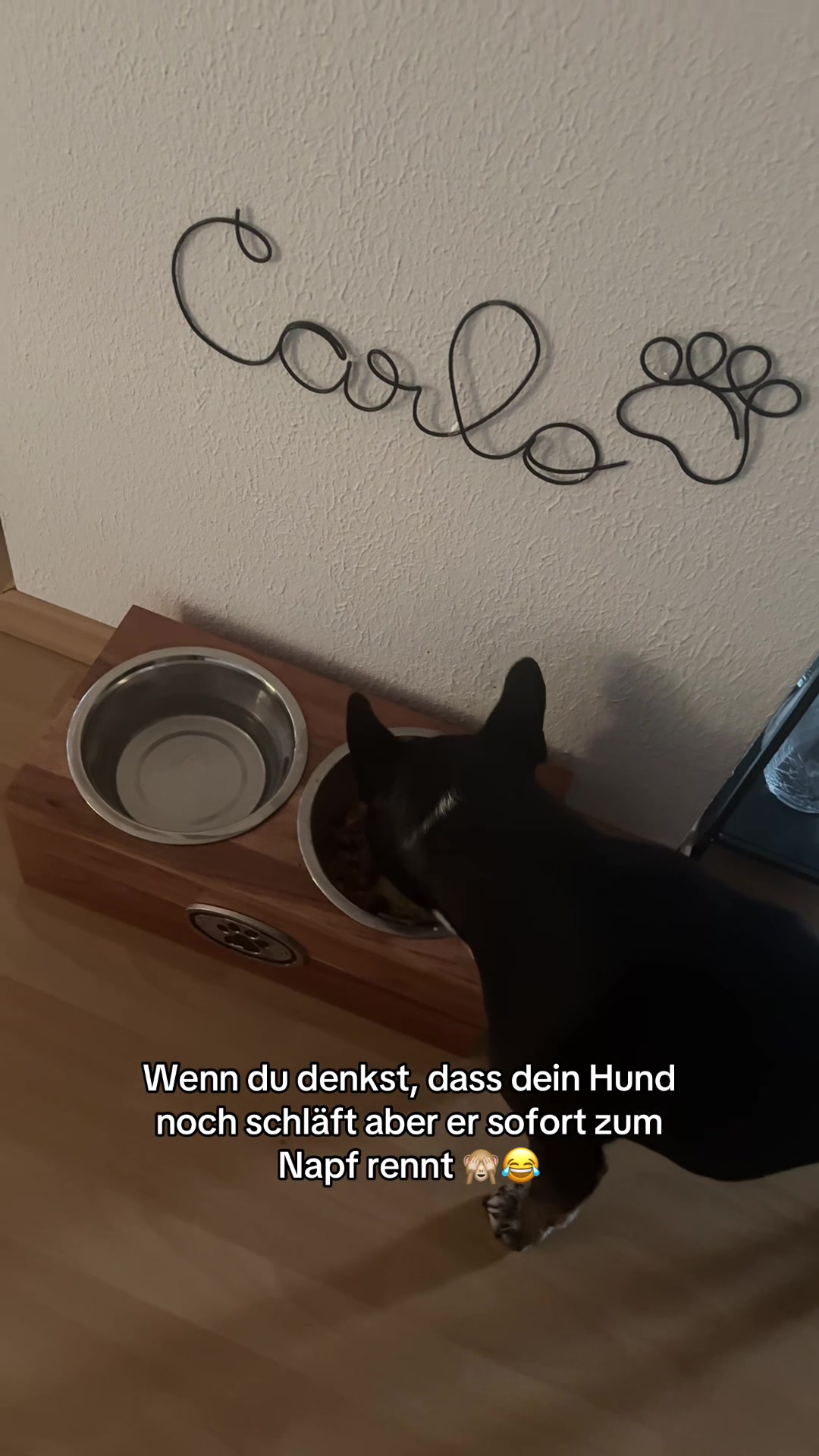 @Carlchenswelt