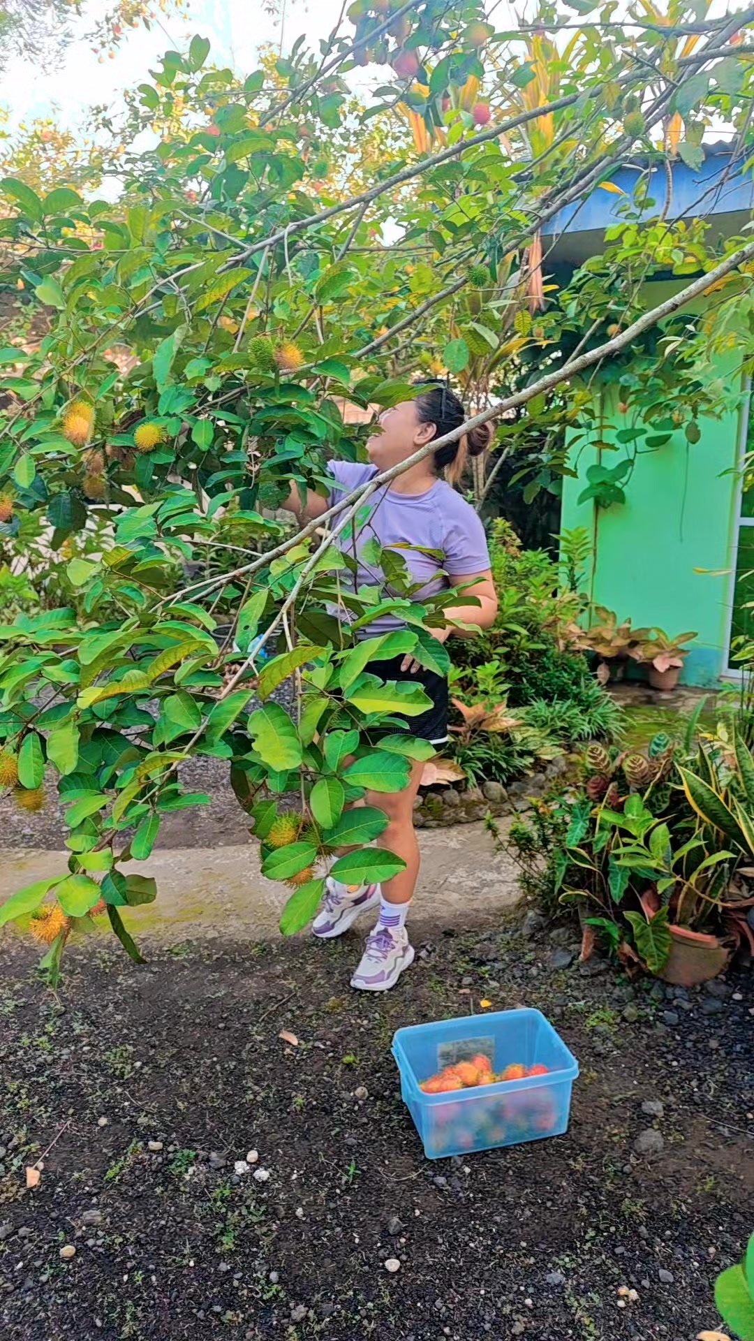 @MarjoRie