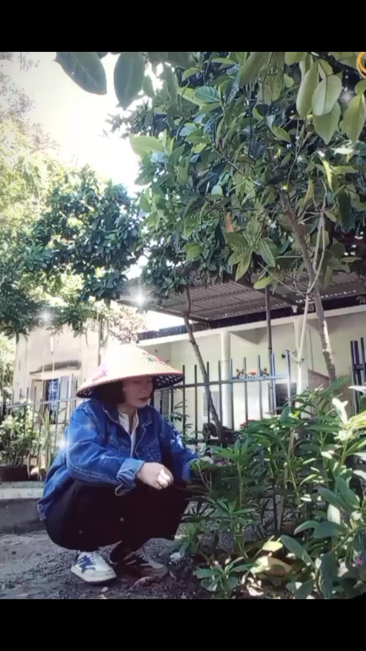@lệ tuyết