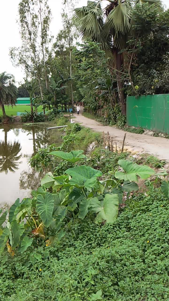 @জীবন থেকে হারিয়ে গেছে